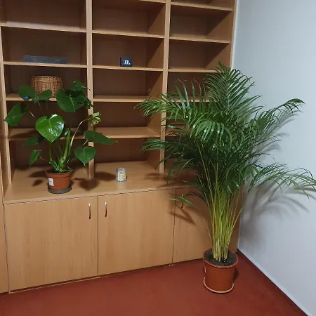דירה Apartament Gdynia Wsm *